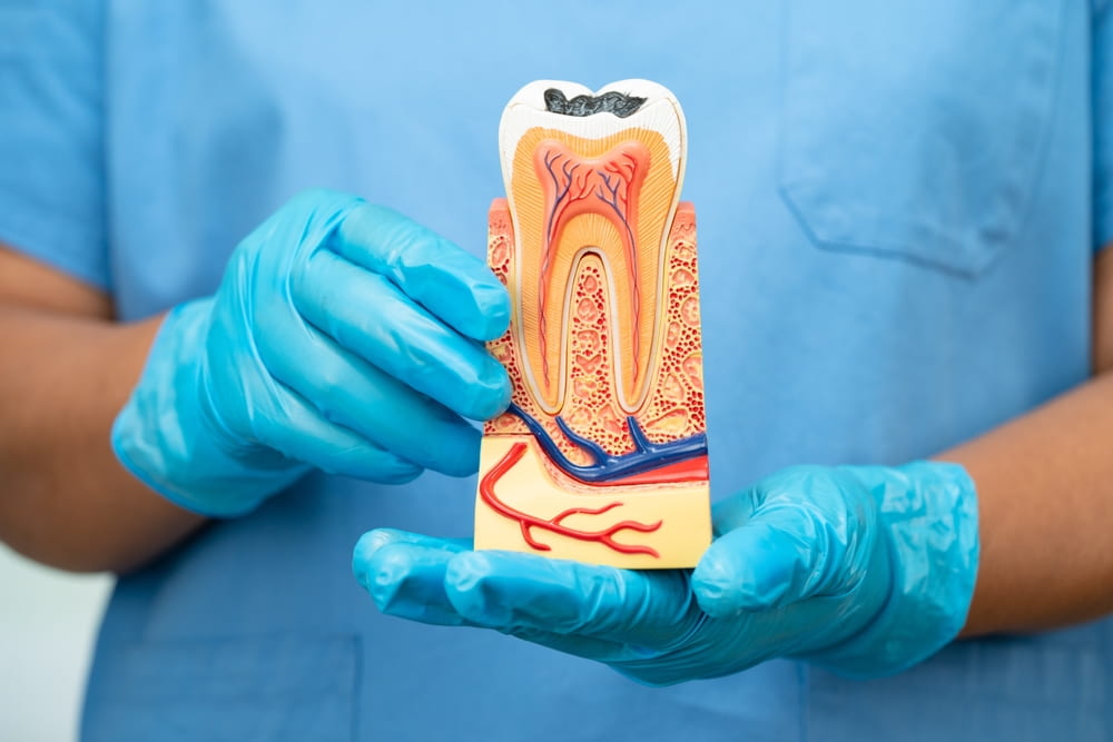 gum-health-observation