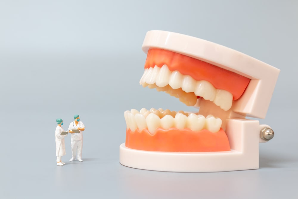 teeth gum examination
